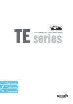 TE series - 1