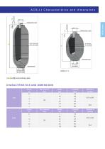 ACS(L) welded cylindrical accumulators-2