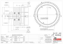 Precision roller slewing rings RT without gear-7