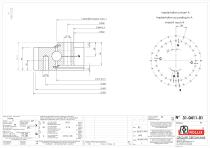 Slewing rings with square sections with external gear-1