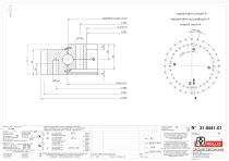 Slewing rings with square sections with external gear-2