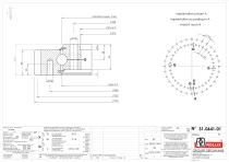Slewing rings with square sections with external gear-3