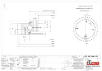 Slewing rings with square sections with external gear-4