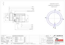 Slewing rings with square sections with internal gear-1