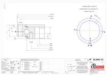Slewing rings with square sections with internal gear-6