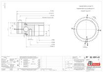 Slewing rings with square sections with internal gear-7