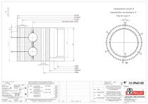 Specific slewing rings Double Row-Speed with internal gear-2
