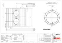 Specific slewing rings Double Row-Speed without gear-4