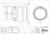 Specific slewing rings Heavy Duty-Radial with internal gear-2
