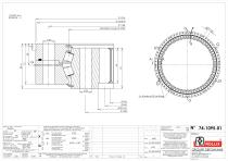 Specific slewing rings Heavy Duty-Radial with internal gear-3