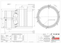 Specific slewing rings Heavy Duty-Radial without gear-3
