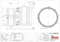 Specific slewing rings Heavy Duty-Radial without gear-4