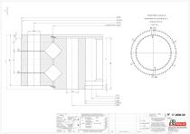 Standard crossed rollers Double row slewing rings with internal gear-3