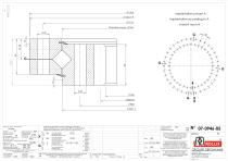 Standard crossed rollers Single row slewing rings with internal gear-7