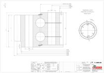 Standard double row ball slewing rings with external gear-3