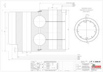 Standard double row ball slewing rings with external gear-5