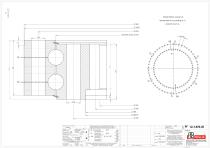 Standard double row ball slewing rings with internal gear-2