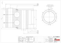 Standard double row ball slewing rings with internal gear-3