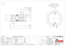 Standard single row ball slewing rings with external gear-3