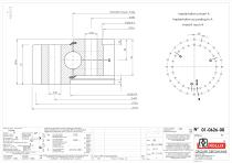 Standard single row ball slewing rings with external gear-7