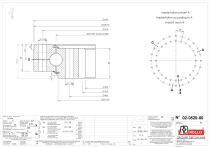 Standard single row ball slewing rings with internal gear-4
