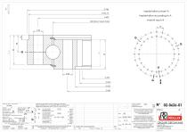 Standard single row ball slewing rings with internal gear-5
