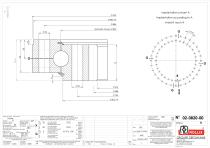 Standard single row ball slewing rings with internal gear-7