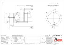 Standard single row ball slewing rings without gear-7