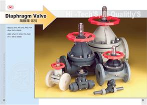 thermoplastic valve-7