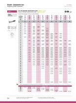 Stainless Steel Fasteners : FASTENERS-10
