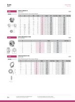 Stainless Steel Fasteners : NUTS-10