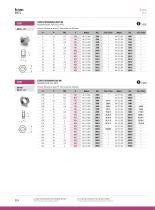 Stainless Steel Fasteners : NUTS-6