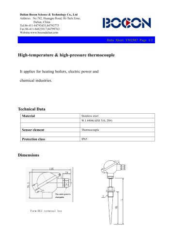 BOCON-High-temperature and high-pressure thermocouple TM2507- heating boiler