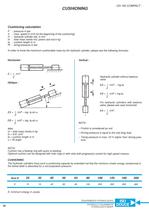 ISODOUCE hydraulic cylinders - DH 160 C.-30