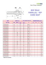 Tempo Hydralic hose fittings-12