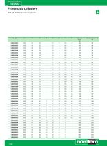 Pneumatic cylinder-4