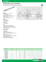 Pneumatic cylinder-8
