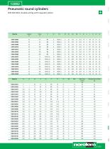 Pneumatic cylinder-9