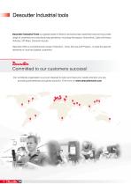 CVI3 leaflet-10