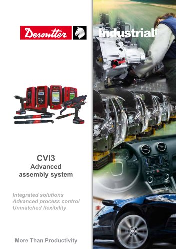 CVI3 leaflet