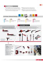 CVI3 leaflet-3
