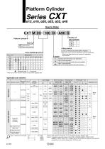 Platform Cylinder Series CXT-2