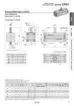 Rotary Actuator-7