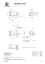 SM-BR - 11