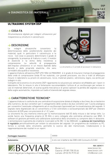 DSP ultrasonic system