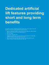 Flexible and innovative solutions to optimize well production Artificial Lift-8