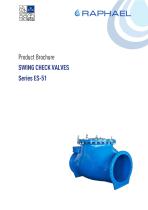 SWING CHECK VALVES - 1