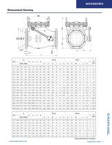 SWING CHECK VALVES - 3