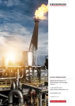 Brochure | Spring-Applied Brake - EEX Line-12