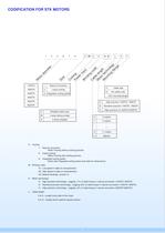 Complete Catalogue of Motors STK-19